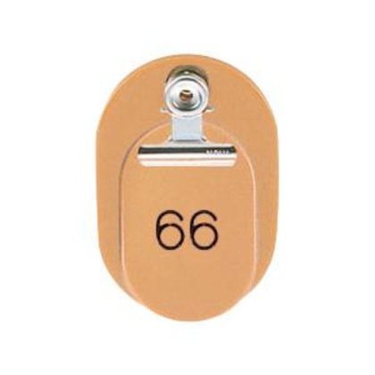 ORIONS 親子番号札(小判型) 番号(51-100) 大小2枚組(目玉クリップ付) ブラウン CT-1-51-BR 5,856円