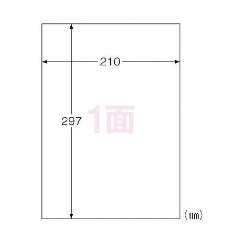 メーカー直送】 (5個セット) カシオ計算機 XR-18GCYWX5 黄 18mm キレイ