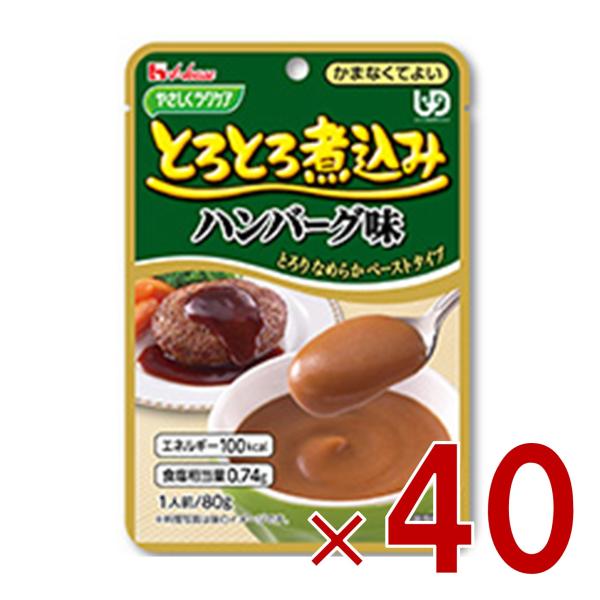 ハウス食品 やさしくラクケア とろとろ煮込み ハンバーグ味 80g ハウスギャバン ギャバン ケアフード 介護食品 レトルト かまなくてよい 惣菜 40個