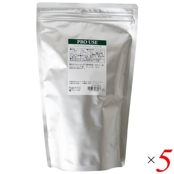 生活の木 ルイボスマサラチャイ 100TB（ティーバッグ） 5個セット