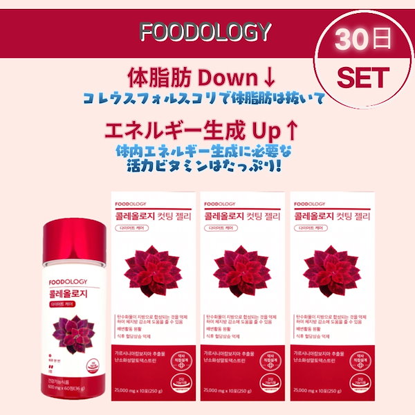 【新品未開封】FOODOLOGY コレオロジー セット最終値下げ Qoo10] FOODOLOGY 【Set】コレオロジー 3個 セット / : 健康食品