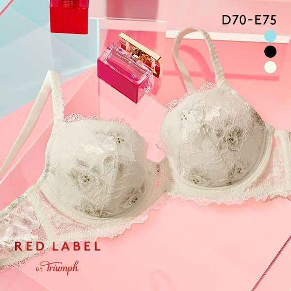 トリンプ Triumph TR0100 プレミアム レッドレーベル ブラジャー DE 単品
