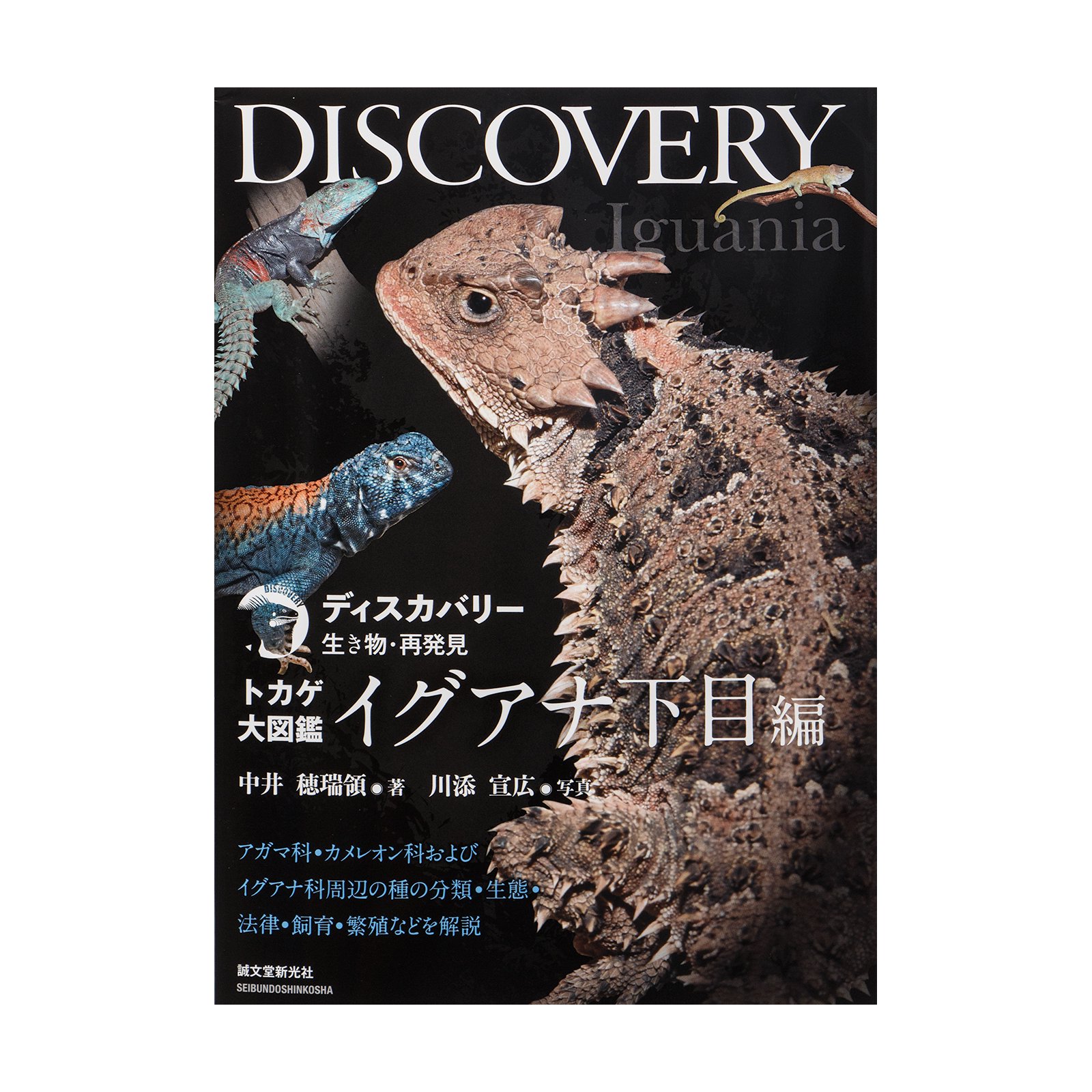 ディスカバリー生き物・再発見　トカゲ大図鑑　イグアナ下目編　ＣＲＣ17―95―17―00―00