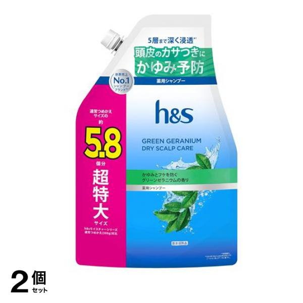 h&s グリーンゼラニウム ドライスカルプケア 薬用シャンプー 詰め替え用 5.8個分 超特大サイズ 1750g 2個セット