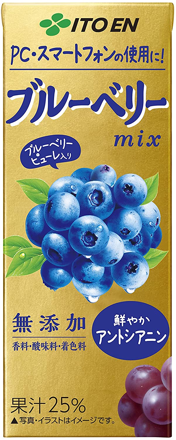 伊藤園 ブルーベリーミックス 200ml エコパック (紙パック) 24本3ケース