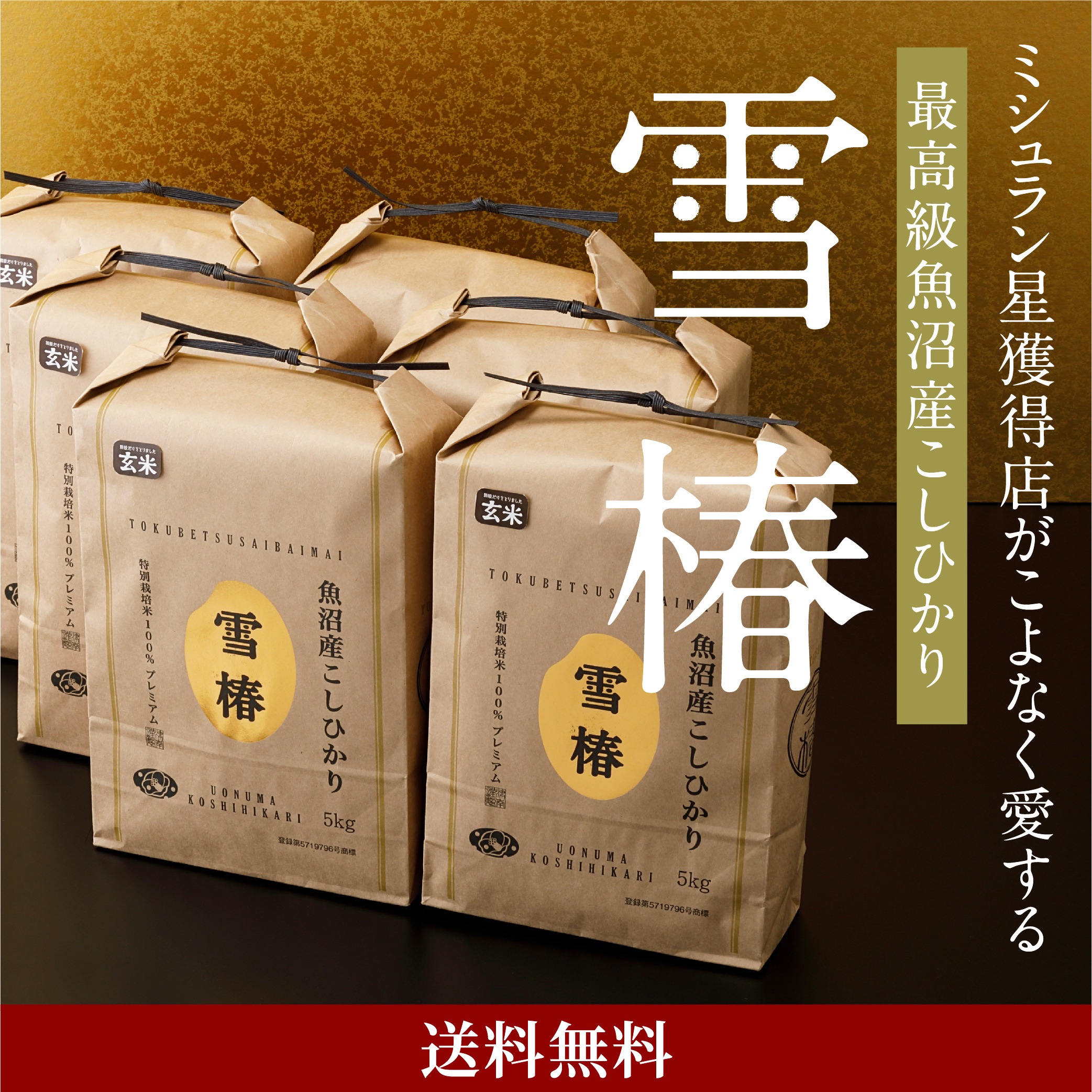 米 お米 玄米 魚沼産コシヒカリ 雪椿 コシヒカリ こしひかり 魚沼産 新潟県産 令和7年産 おいしい 美味しい 30kg 魚沼コシヒカリ 新潟 魚沼