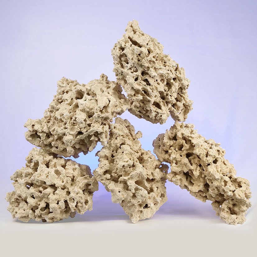 マルコロック　リーフセーバー　エッジ（Ｅｄｇｅ）　Ｌサイズ　８ー１３ｋｇ　サンゴ　石　海水　水槽　飾り　レイアウト　ＣＲＣ21―20―90―00―00