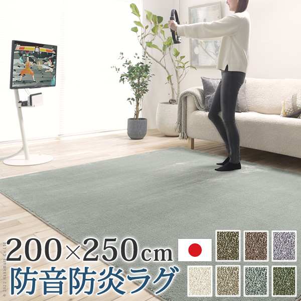 ラグカーペット 長方形 防音防炎ラグ エイヴァ 200x250cm リビング 高級感 おしゃれ 北欧 無地調 ホットカーペット対応 防音 日本製 カットオーダー