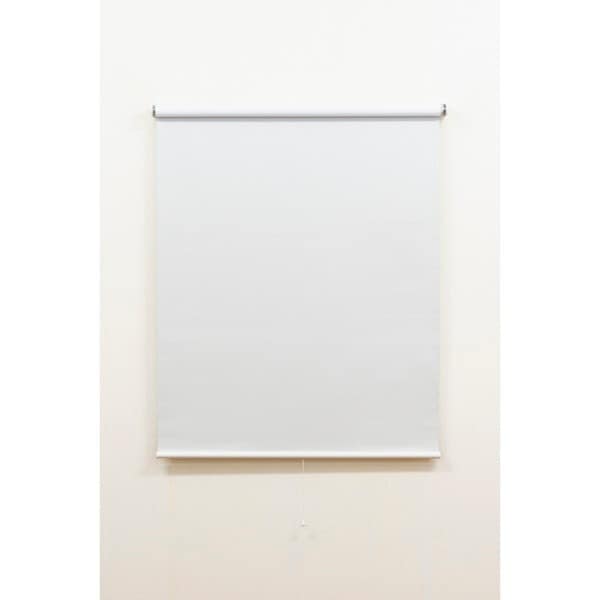 Fullness L2990 DNツッパリRS 180X180 SOW 遮光オフホワイト つっぱり式ロールスクリーン 180×180cm メーカー直送