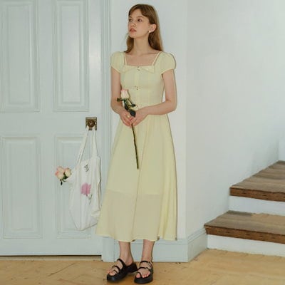 グラキリス現地球 良型 発根済み株 【公式通販】 グラキリス現地球 良型 発根済み株 【公式通販】