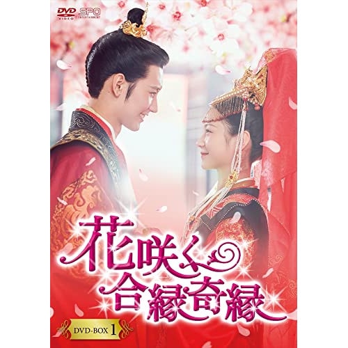 花咲く合縁奇縁 DVD-BOX1 / リー・ゲンシー/ホアン・ジュンジエ (DVD) OPSD-B820