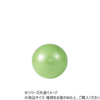 ダンノ(DANNO) ギムニクカラーボールPLUS 75(ライムグリーン) D5423LMG