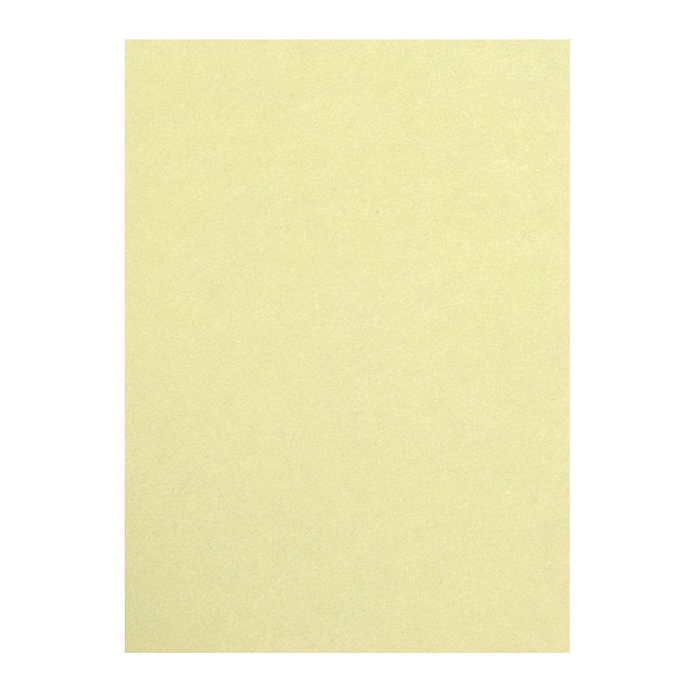 （まとめ買い）リンテック 色画用紙 ニューカラー 4切判 392x542mm 100枚 クリーム GO4NCR-101 [x3]