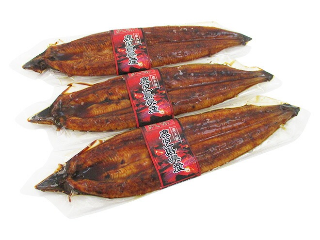 国産 =うなぎ蒲焼= 約180g前後 x3pc 真空パック入り 山椒/タレ付き 頭有腹開