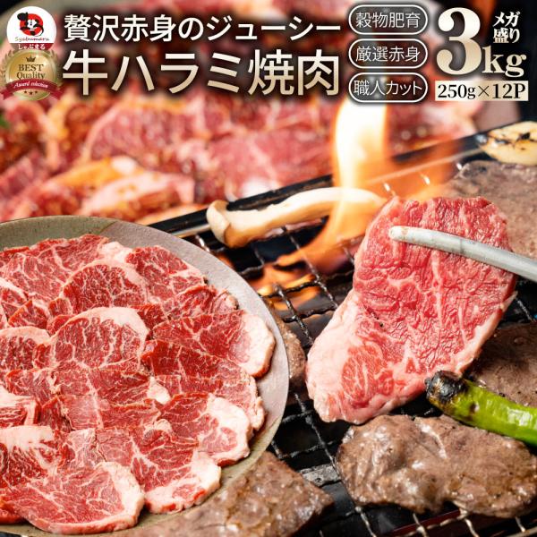 牛肉 肉 ハラミ 焼肉 3kg 250g×12P メガ盛り 赤身 はらみ 赤身 バーベキュー 美味しい お中元 ギフト 食品 プレゼント