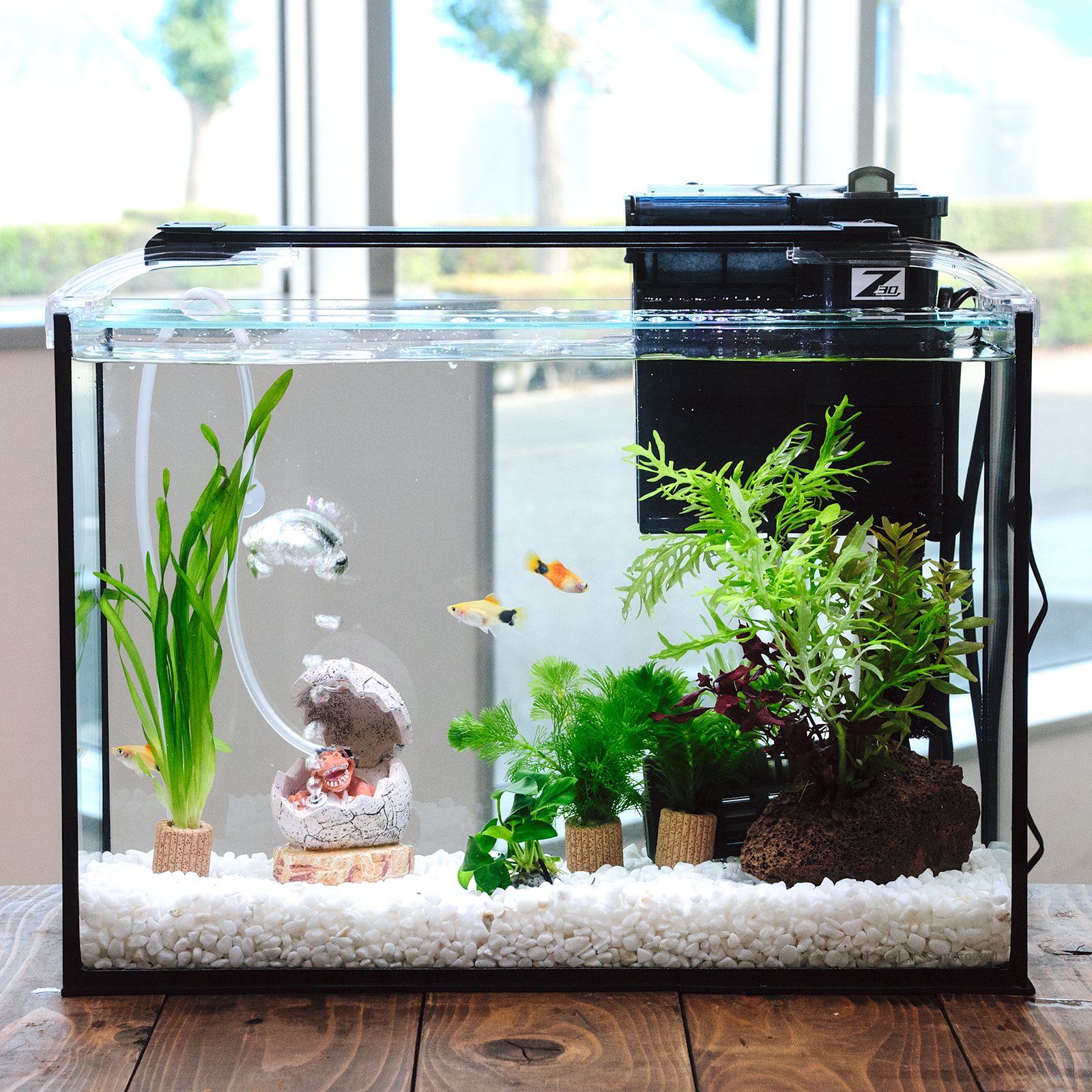 （熱帯魚）（水草）簡単イエローミッキーマウスプラティ飼育水草レイアウトセット　４０ｃｍ水槽　恐竜の卵ｖｅｒ．　本州四国限定　ＣＲＣ10―11―03―30―20