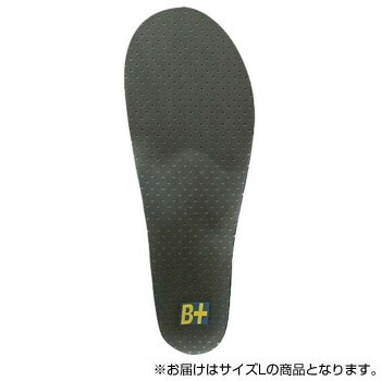 ホシノ インソール Flying Foot Hoshino Insole B+VC35A Variable Control 35A L