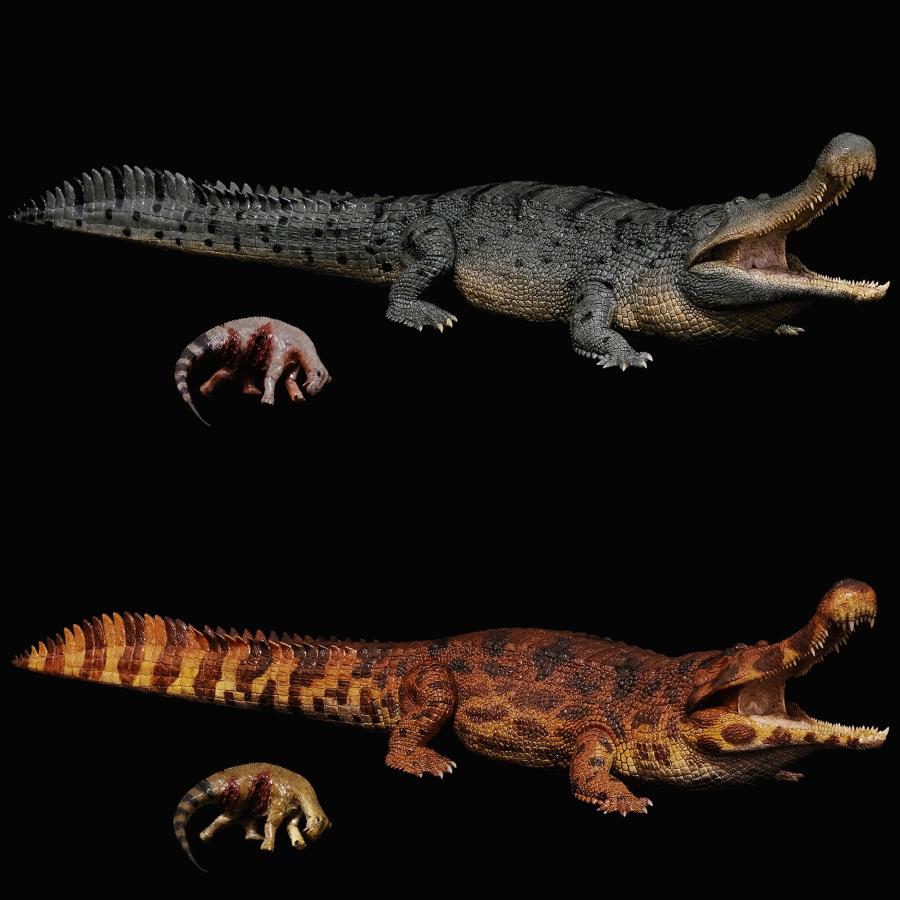REBOR 1/35 サイズ ワニ デイノスクス ニジェールサウルス 獣脚類 恐竜 動物 フィギュア 45cm級 大口 恐ろしい 模型 新配色 情景セット プラモデル オブジェ