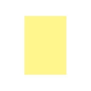 (業務用3セット)大王製紙 再生色画用紙/工作用紙 [八つ切り 100枚x3セット] ひよこ