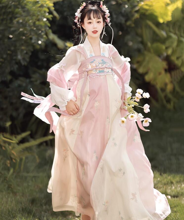レディース 漢服 唐朝 美人服 貴妃ドレス 華流 コスプレ衣装 ハロウィン コスプレ衣装 中国古代 お嬢様ドレス 学園祭 文化祭 イベント コスチューム ドレス＋羽織 おしゃれ ピンク グリーン 5,061円