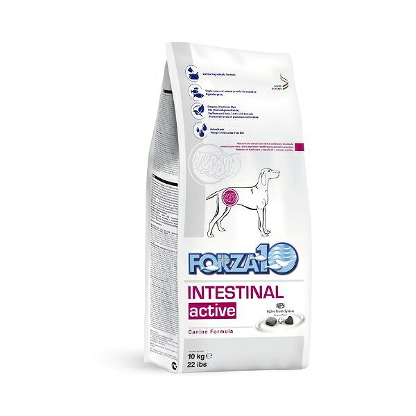 FORZA10 インテスティナルアクティブ（中粒）10kg【フォルツァディエチ】【犬用療法食】【正規品】