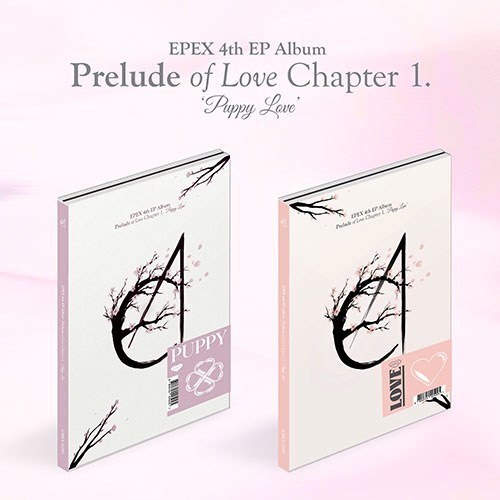 イーペックス ミニ4集 愛の書 おまかせ1種 Chapter 1. Puppy Love EPEX