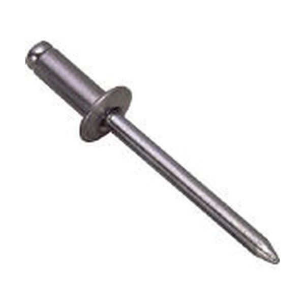 エビ(LOB) NSS 55EB ブラインドリベット (ステンレス/スティール製 5-5 300本入 エコBOX) メーカー直送