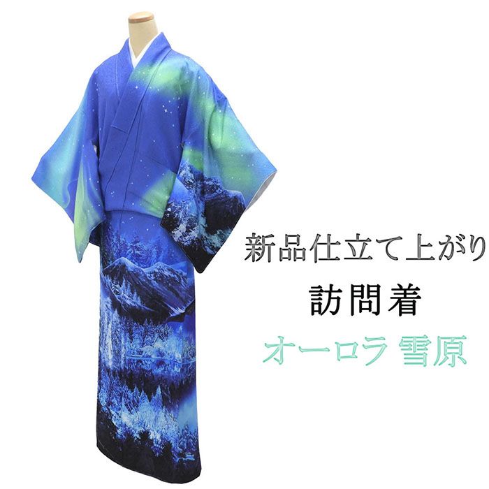 訪問着 仕立て上がり 新品 正絹 オーロラ 雪原 湖畔 身丈165.5cm 裄丈68cm 新品仕立済 着物 パーティー b1039
