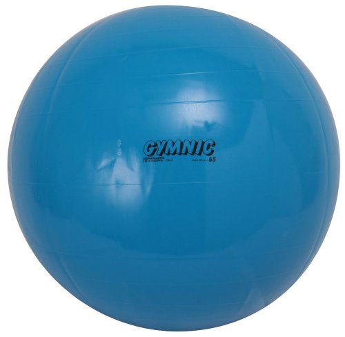 ダンノ(DANNO) バランスボール ギムニクカラーボール65 ブルー Φ65cm D5432