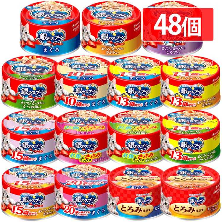 【目玉商品】【48個セット】 ペットフード 猫 キャットフード 銀のスプーン 缶 70g