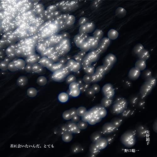 矢野顕子/野口聡一 ／ 君に会いたいんだとても(完全生産限定盤)(Blu-ray Disc付) (CD) VIZL-2149