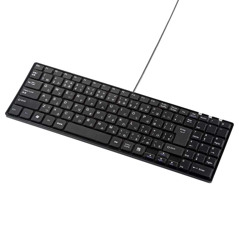USBスリムキーボード ブラック SKB-SL17BKN