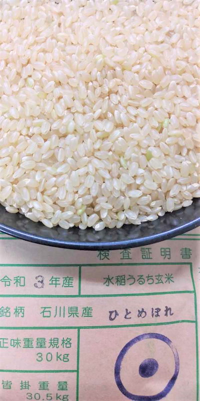 もち米 玄米３０kg 検査２等米 - 米