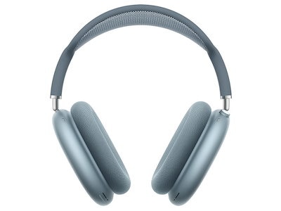 海部公子(あまべきみこ)作 九谷 色絵 陶板画 木通(アケビ) 【公式通販】