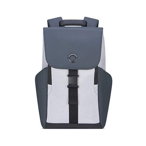 DELSEY Paris Securflap Laptop Backpack， Silver， 15 Inch Sleeve 並行輸入品