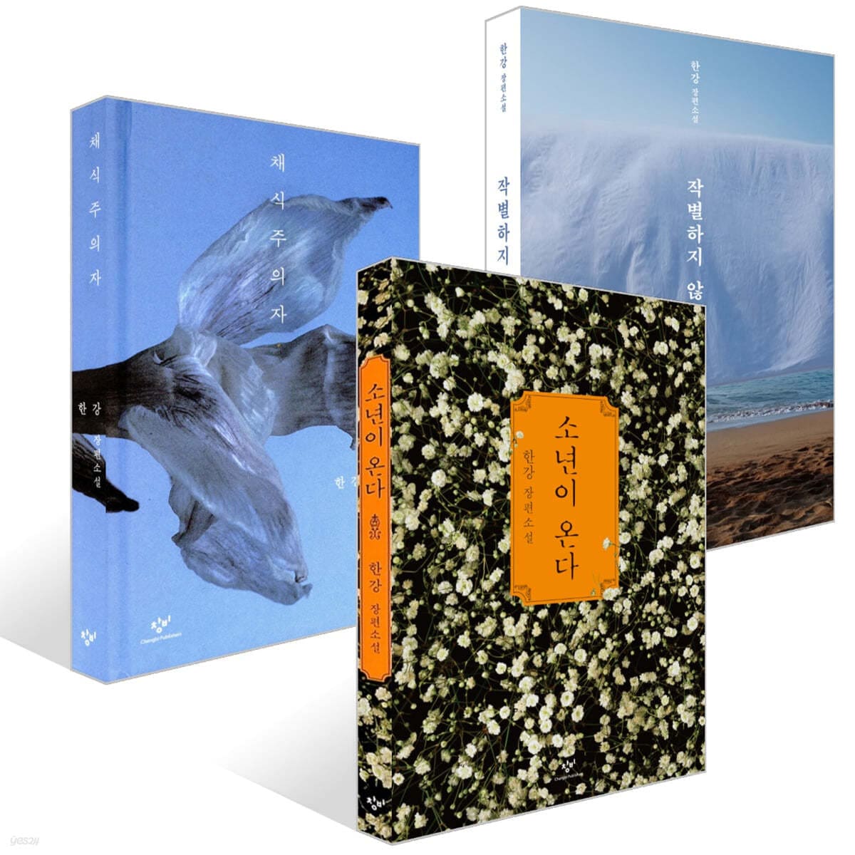 (1+1+1セット)アジア人女性初 2024年ノーベル文学賞受賞「漢江」 菜食主義者 少年が来る お別れしない 漢江(ハンガン)の小説 全世界が注目した漢江の代表作 2024 ノーベル文学賞受賞