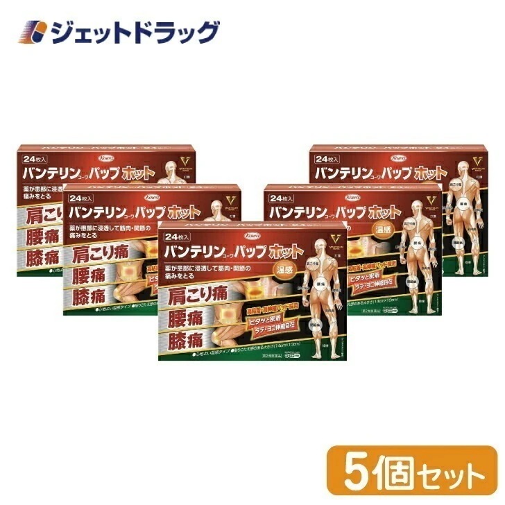 【第2類医薬品】バンテリンコーワパップホット 24枚 ×5個 セルフメディケーション税制対象