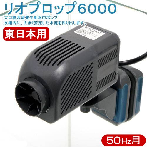 水中ポンプ　５０Ｈｚ　カミハタ　リオプロップ　６０００　流量７５ー９５リットル／分（東日本用）　ＣＲＣ10―37―10―20―30