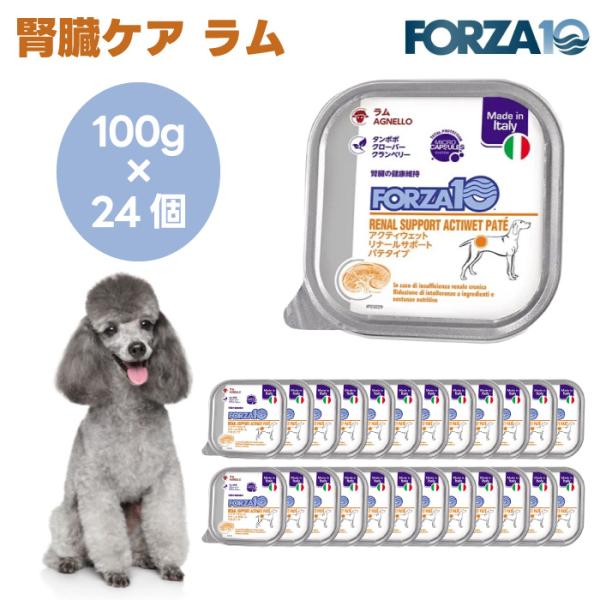 Forza10 アクティウェット リナールサポート 腎臓ケア ラム パテ 100gx24個 犬 ドッグフード 餌 療養食 腎臓 腎疾患 フォルツァ10
