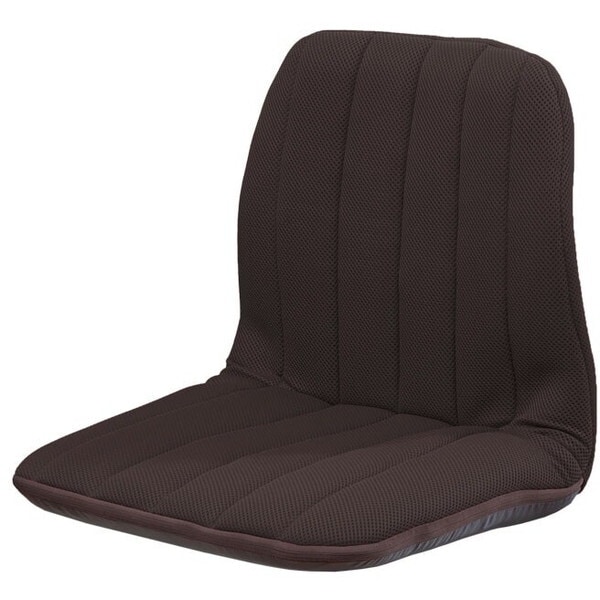 ファミリー・ライフ 背筋サポートリクライニングチェア ダークブラウン(0437610) メーカー直送