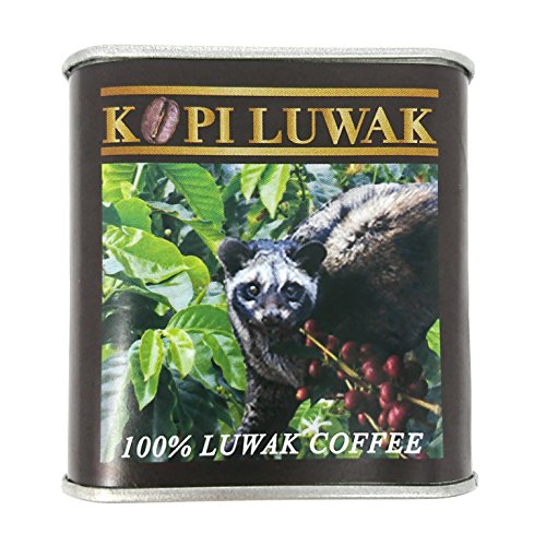大人気の レギュラーコーヒー 豆 コピルアク KOPI インドネシア産 殿堂 幻のコーヒー LUWAK 50g
