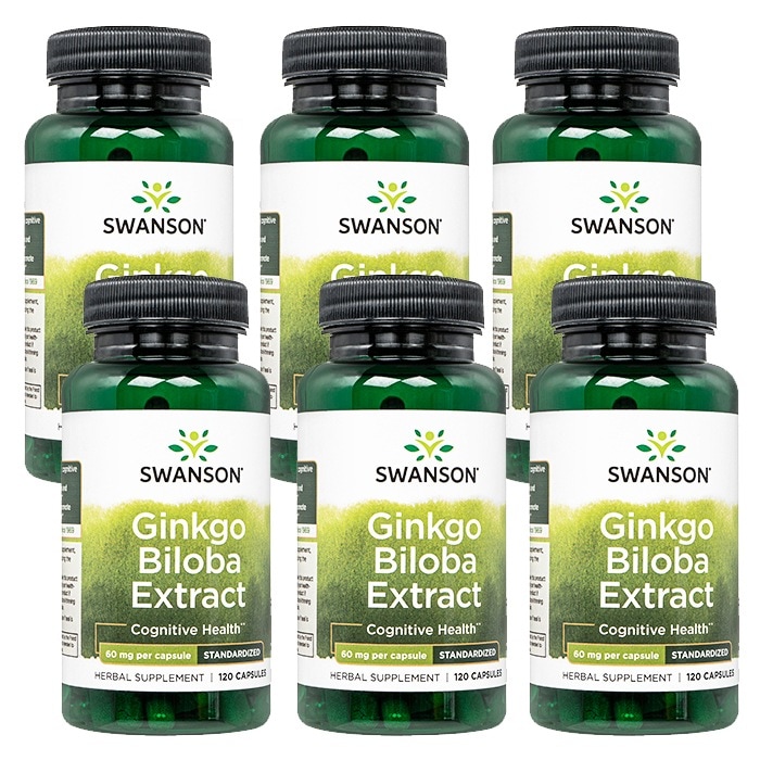 スワンソン ギンコビローバ エクストラクト 120錠 6本 海外直送 日時指定不可 ヤマト国際便発送