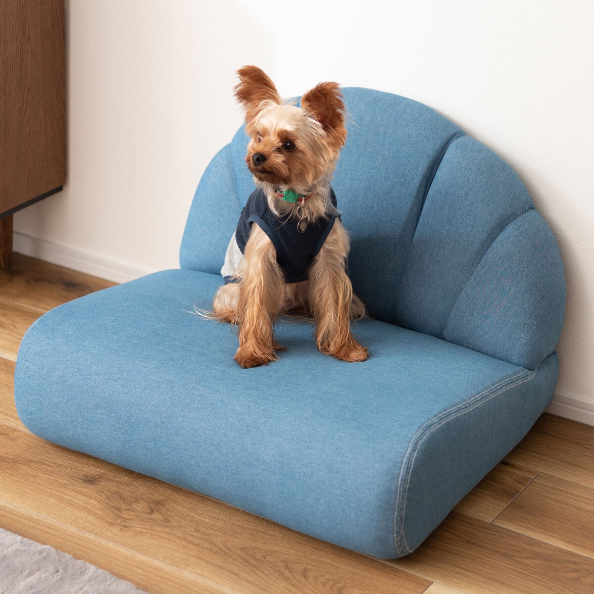ペットソファ 幅59cm ファブリック 貝殻 ペットベッド 座椅子 ローソファー キッズチェアー 1人用 椅子 イス ペット 犬 猫 デニム調 シンプル かわいい おしゃれ 座面高18cm