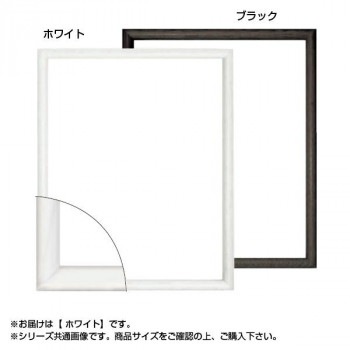 大額 6700 デッサン額 半切 ホワイト
