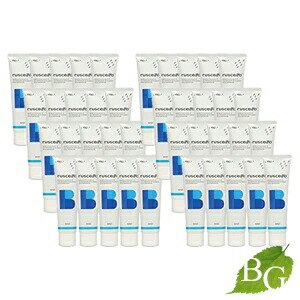 ジーシー ルシェロ 歯みがきペーストB ベーシック ミント 90g 40本セット