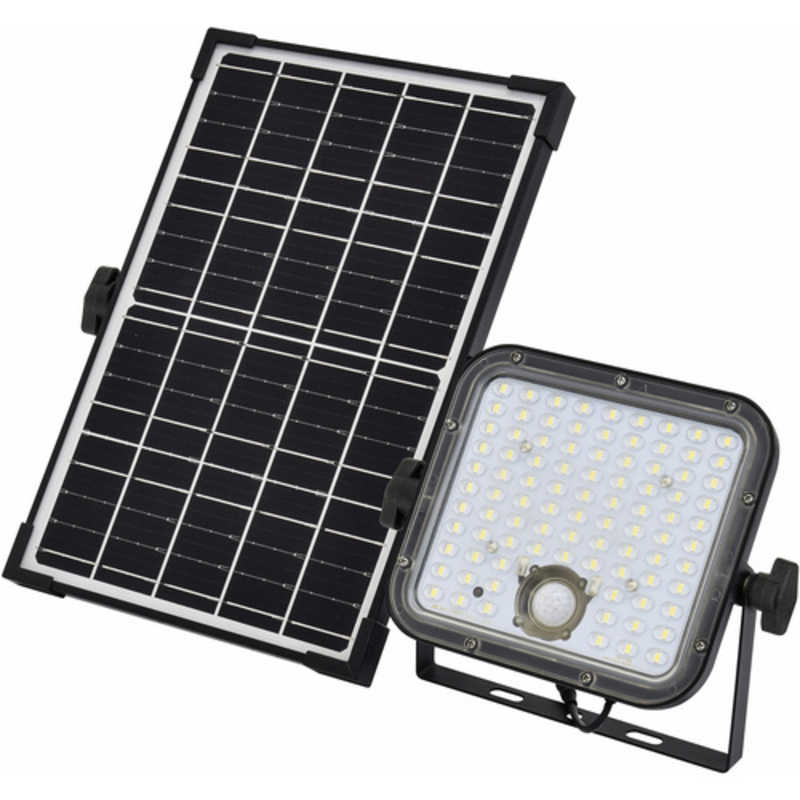 日動工業　ソーラー式LEDセンサーライト エコフラッシュセパ　SOL-30S5-N2