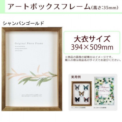 A.P.J. BOXフレーム アートボックスフレーム(高さ:35mm) 大衣サイズ(394×509mm) シャンパンゴールド 1000015198