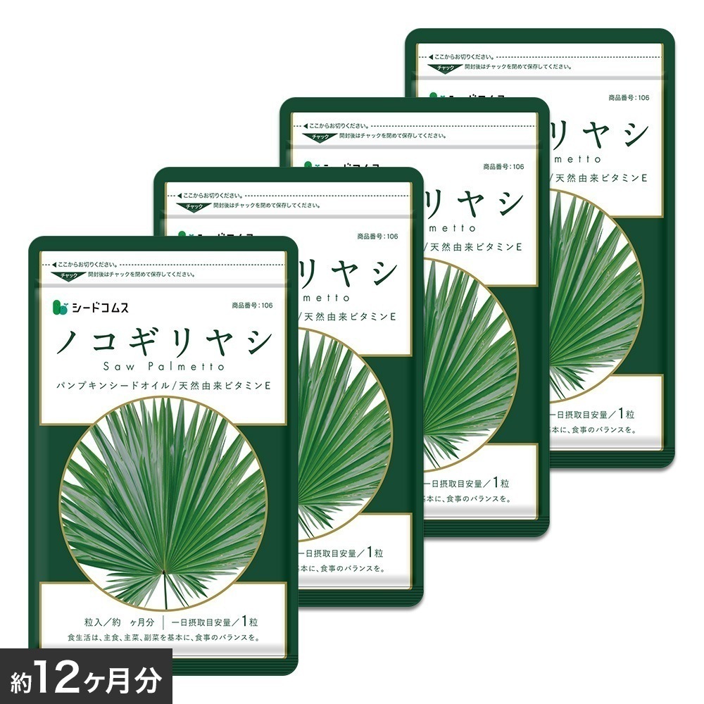 ノコギリヤシ 約１２ヶ月分