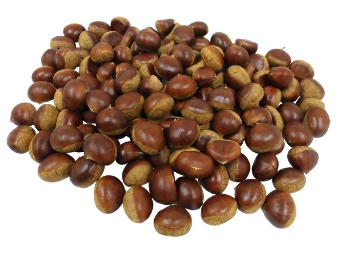 =愛媛県 JAたいき 銀寄栗= 秀品 2L 約3kg 予約 10月以降