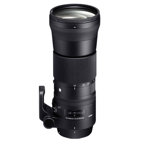 150-600mm F5-6.3 DG OS HSM Contemporaryニコン用